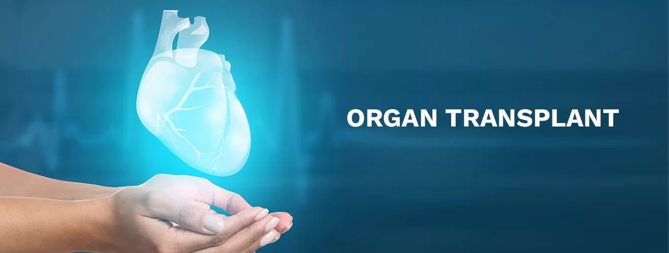 Organ transplant