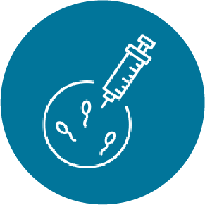 icons 38 23