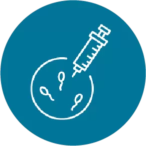 icons 38 23
