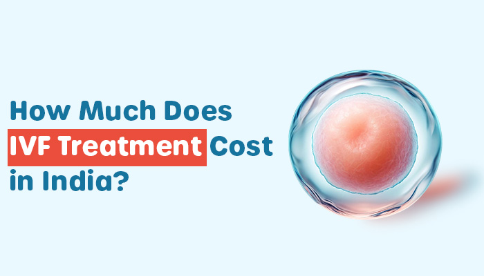 how much does ivf treatment cost in india
