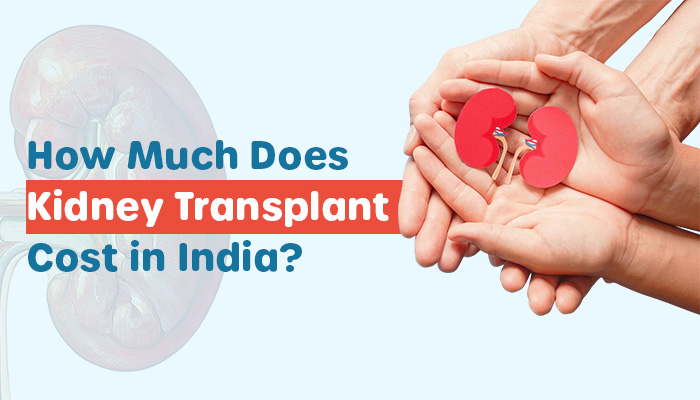 how much does kidney transplant cost in india