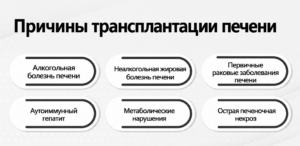 Причины трансплантации печени: алкогольная болезнь печени, неалкогольная жировая болезнь печени, аутоиммунный гепатит, метаболические нарушения, рак печени и острая печеночная недостаточность.